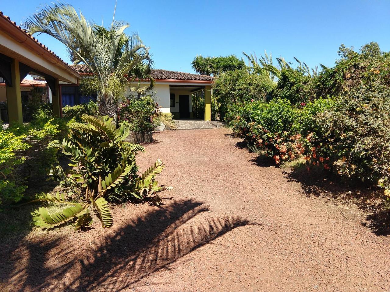 Dos Palmas